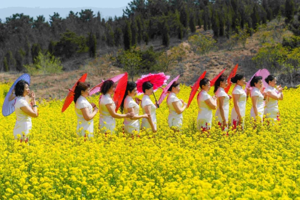 Picturesque rape flowers seen in Penglai