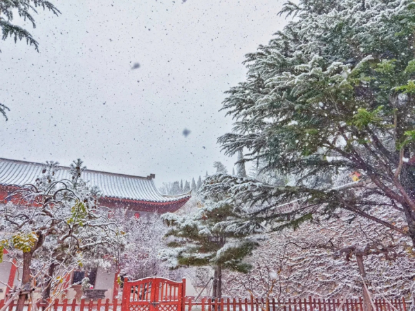 ?Snow falls on Nanshan Mountain