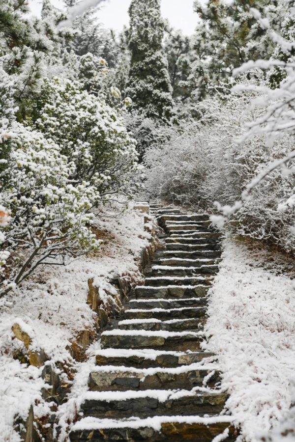 ?Snow falls on Nanshan Mountain