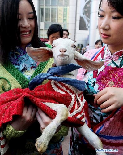 Int'l Wool Carnival kicks off in Shanghai