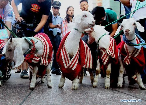 Int'l Wool Carnival kicks off in Shanghai