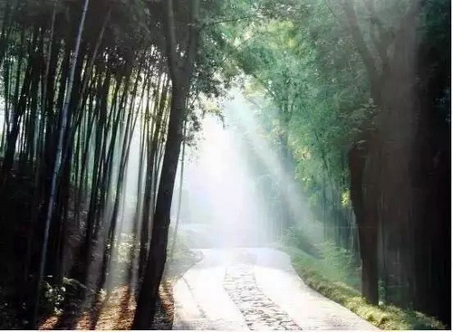 Scenic spots populate metro line