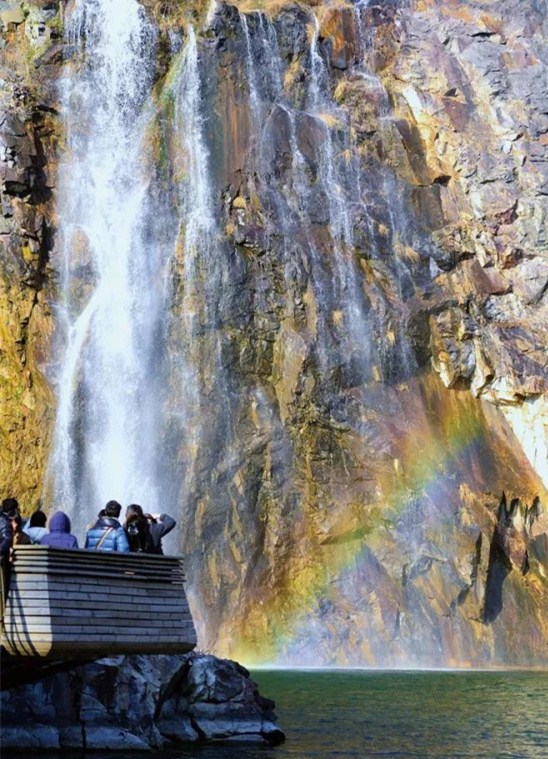 Chenshan Quarry Garden highlighted on CCTV