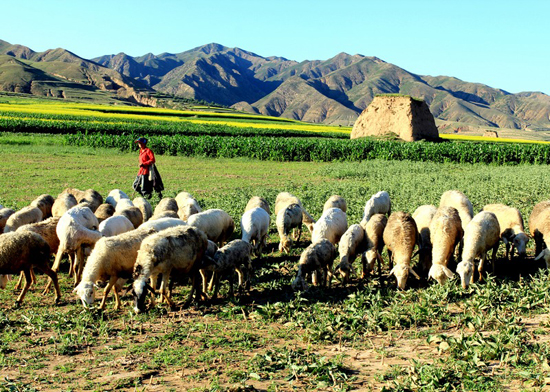 Photography document of pastoral life by the Great Wall in the four seasons