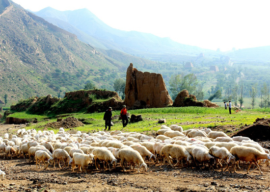Photography document of pastoral life by the Great Wall in the four seasons