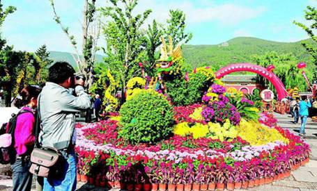 Chrysanthemum Culture Festival attracts thousands to Taiyuan