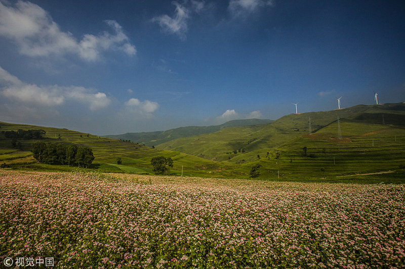 A journey to alpine grasslands in Shanxi
