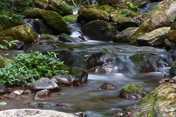 Pu’er National Forest Park