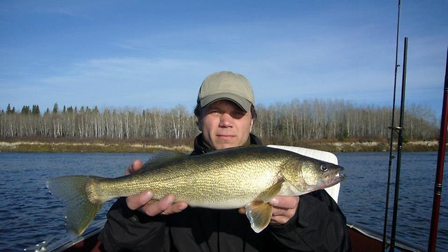 Lost camera found on bird<BR>'文藝魚鷹'頸掛相機(jī)(圖)