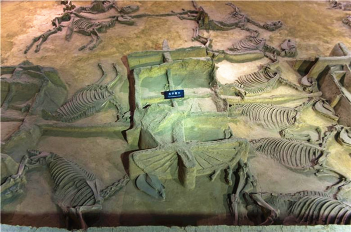 Luoyang, the ancient capital of thirteen dynasties