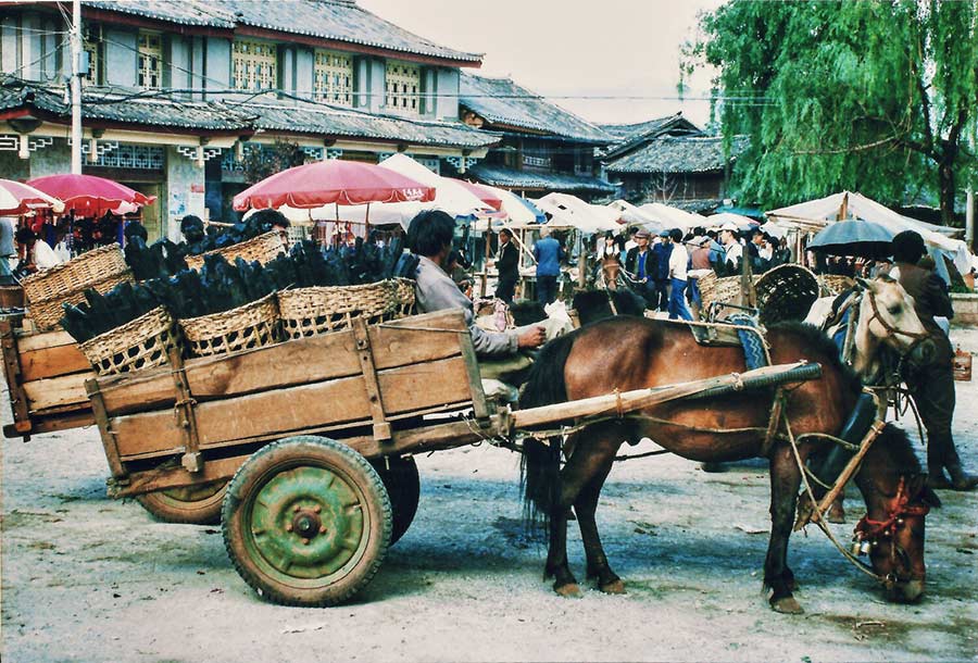 'Beyond the Clouds' - Lijiang in 1995