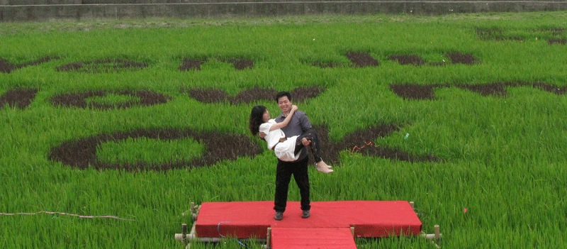 Creative ways to say ‘marry me’