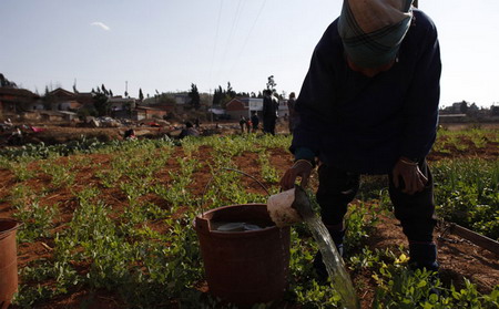 Surviving on muddy water