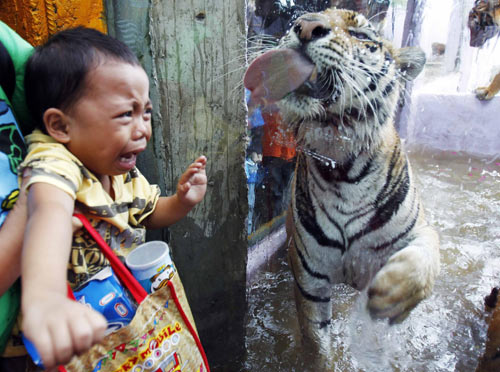 World Environment Day celebration show in Manila