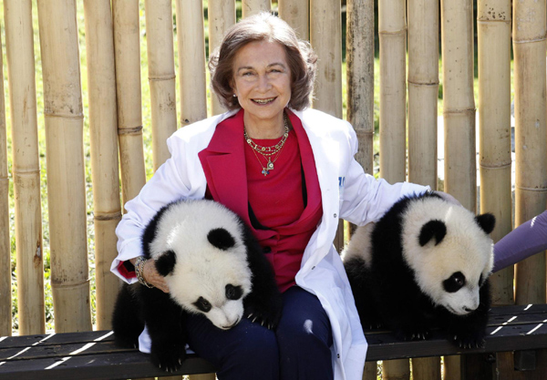 The queen of panda cubs