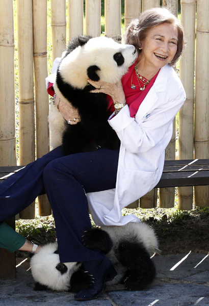 The queen of panda cubs