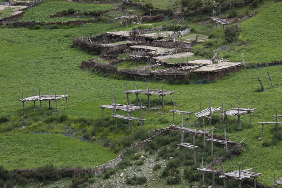 Charm that can't be captured by camera