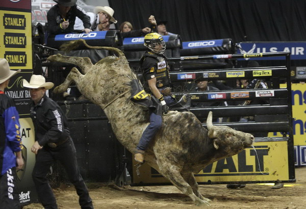 Brazilian bull rider Silvano Alves rides a bull during the Professional Bull Riders World Finals in Las Vegas, Nevada Oct 30, 2011. Alves won the season championship and $1million. Brizilian bull rider wins PBR world finals