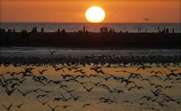 Sunset flight of fantasy