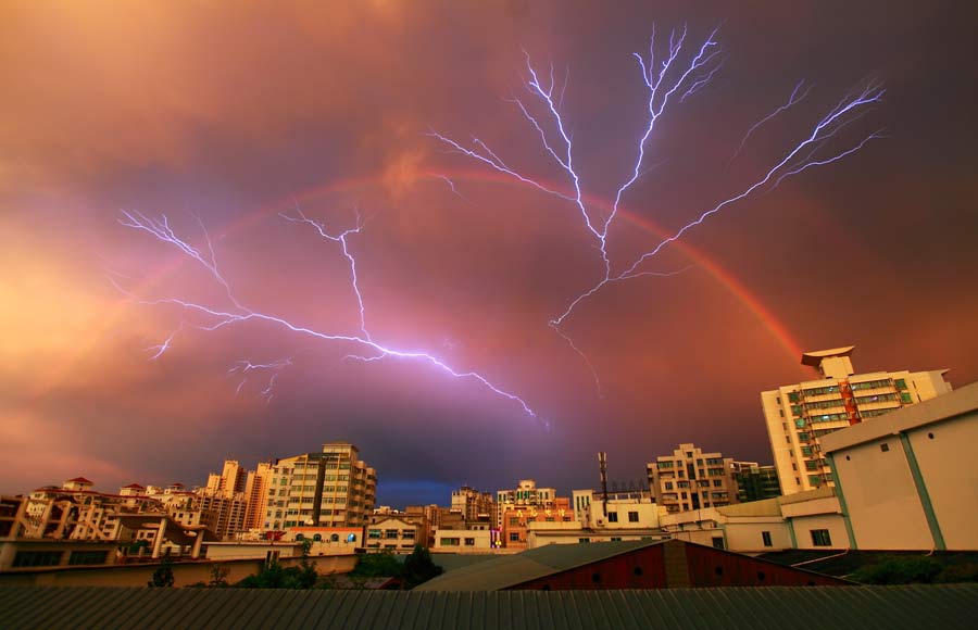 China Daily Pictures of the Year 2012