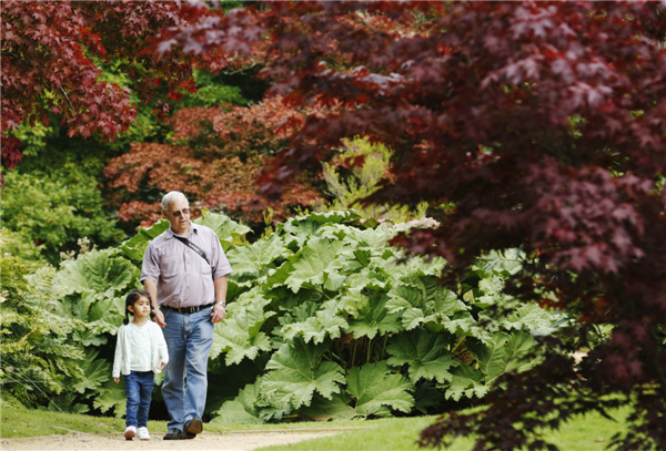 Autumn colors in Southern England