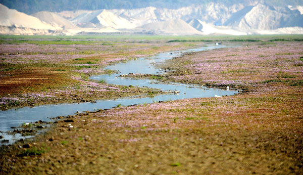 Drought turns lake into grassland