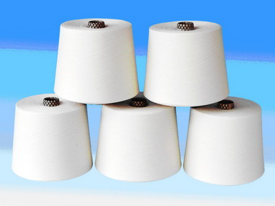 江蘇三房巷集團(tuán)有限公司