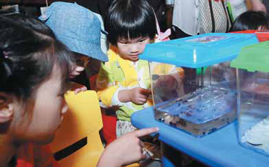 Xiamen's nightlife gets new wings and glows