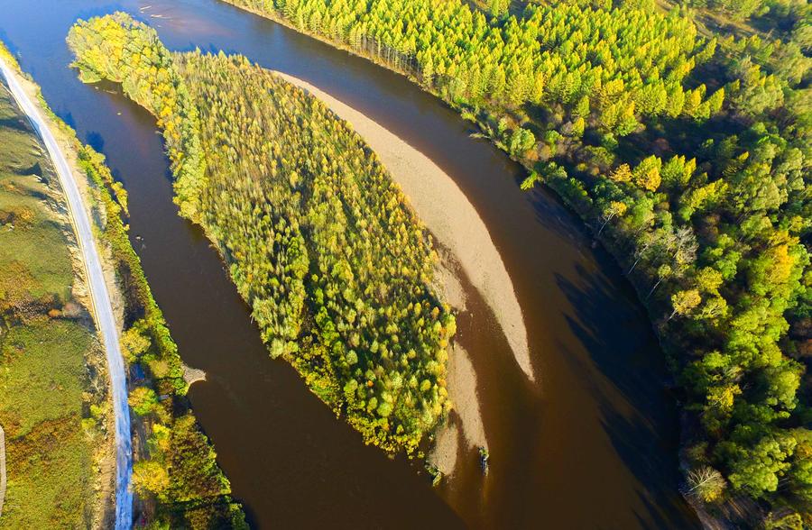 Greater Khingan Range: autumn beauty at its best