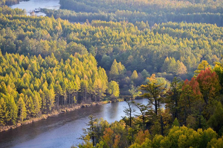 Greater Khingan Range: autumn beauty at its best