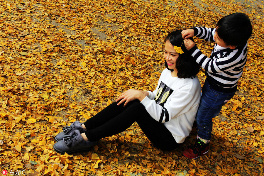 Golden ginkgo leaves lighten up Wuhan University