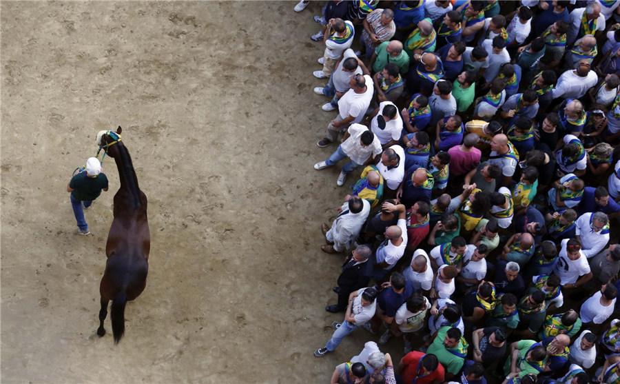 Horse races in Siena, Italy