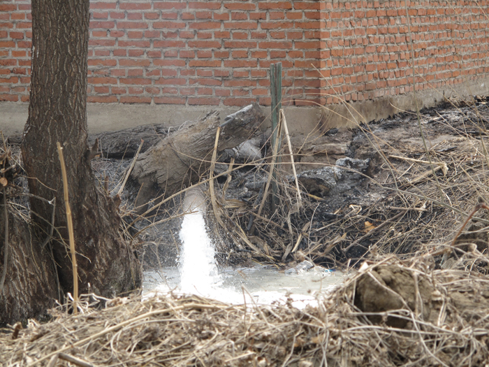 調(diào)查：沈陽(yáng)小造紙廠違規(guī)排污、貽害居民