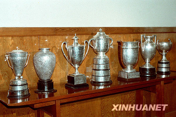 銀球飛舞鑄輝煌[組圖]