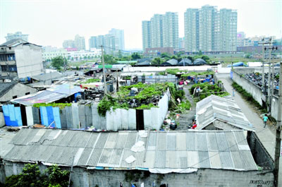 城市低收入群體生活調(diào)查：因病致貧問題突出