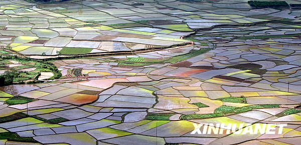 廣西瑤鄉(xiāng)田園美如畫[組圖]