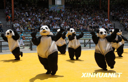 動(dòng)物明星廣州上演童話劇[組圖]