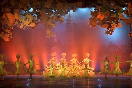 看《蝴蝶之夢(mèng)》圓蝴蝶之夢(mèng)