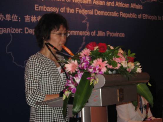 吉林省與非洲經(jīng)濟(jì)貿(mào)易合作說明會(huì)在長春舉行