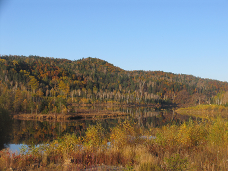 “第三屆龍江行”采訪團(tuán)抵達(dá)伊春，感受“森林氧吧”