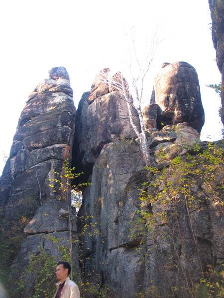 “第三屆龍江行”采訪團(tuán)抵達(dá)伊春，感受“森林氧吧”