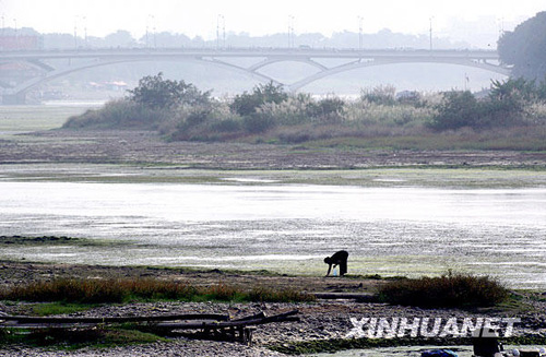 持續(xù)秋旱 漓江枯水